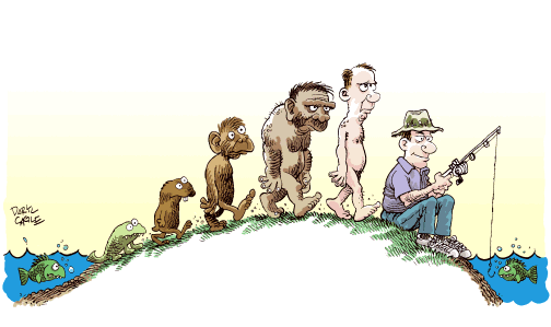 Fil:Menneske evolusjon.gif