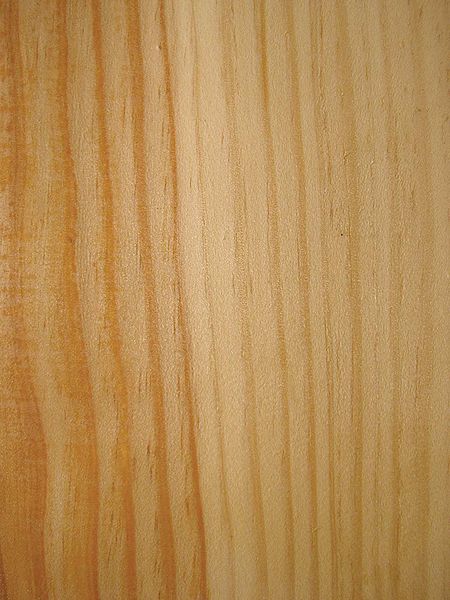 Fil:Pinus sylvestris wood2.jpg